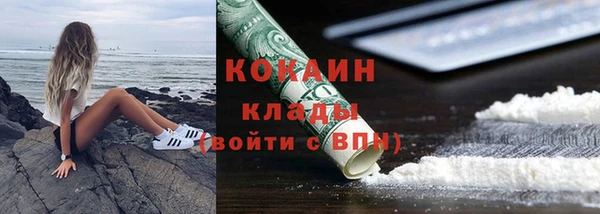 гашик Аркадак