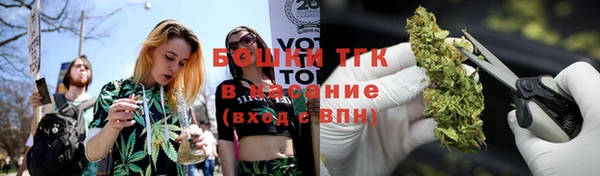 трава Арсеньев