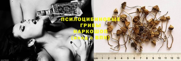 гашик Аркадак