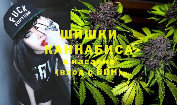 трава Арсеньев