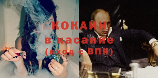 трава Арсеньев